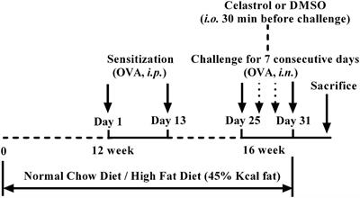 Celastrol Alleviates Airway Hyperresponsiveness and Inhibits Th17 Responses in Obese Asthmatic Mice